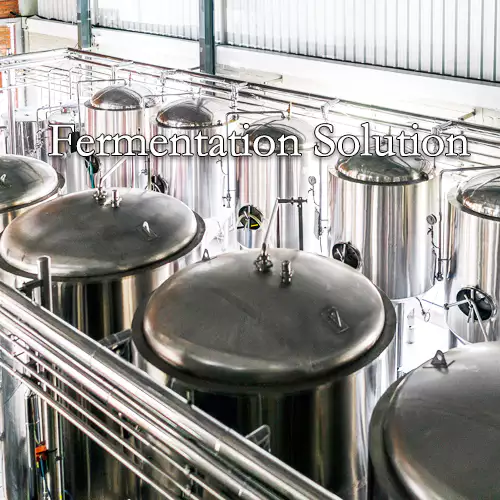 Fermentation